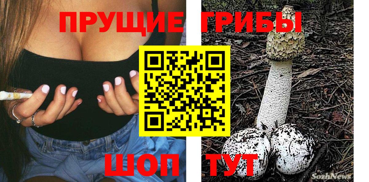 Галлюциногенные грибы Cubensis Новосибирск
