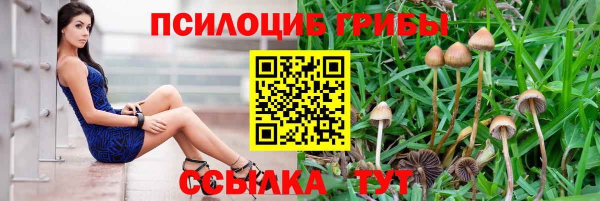Новосибирск  Псилоцибиновые грибы прущие грибы  где найти наркотики  Вход с VPN 